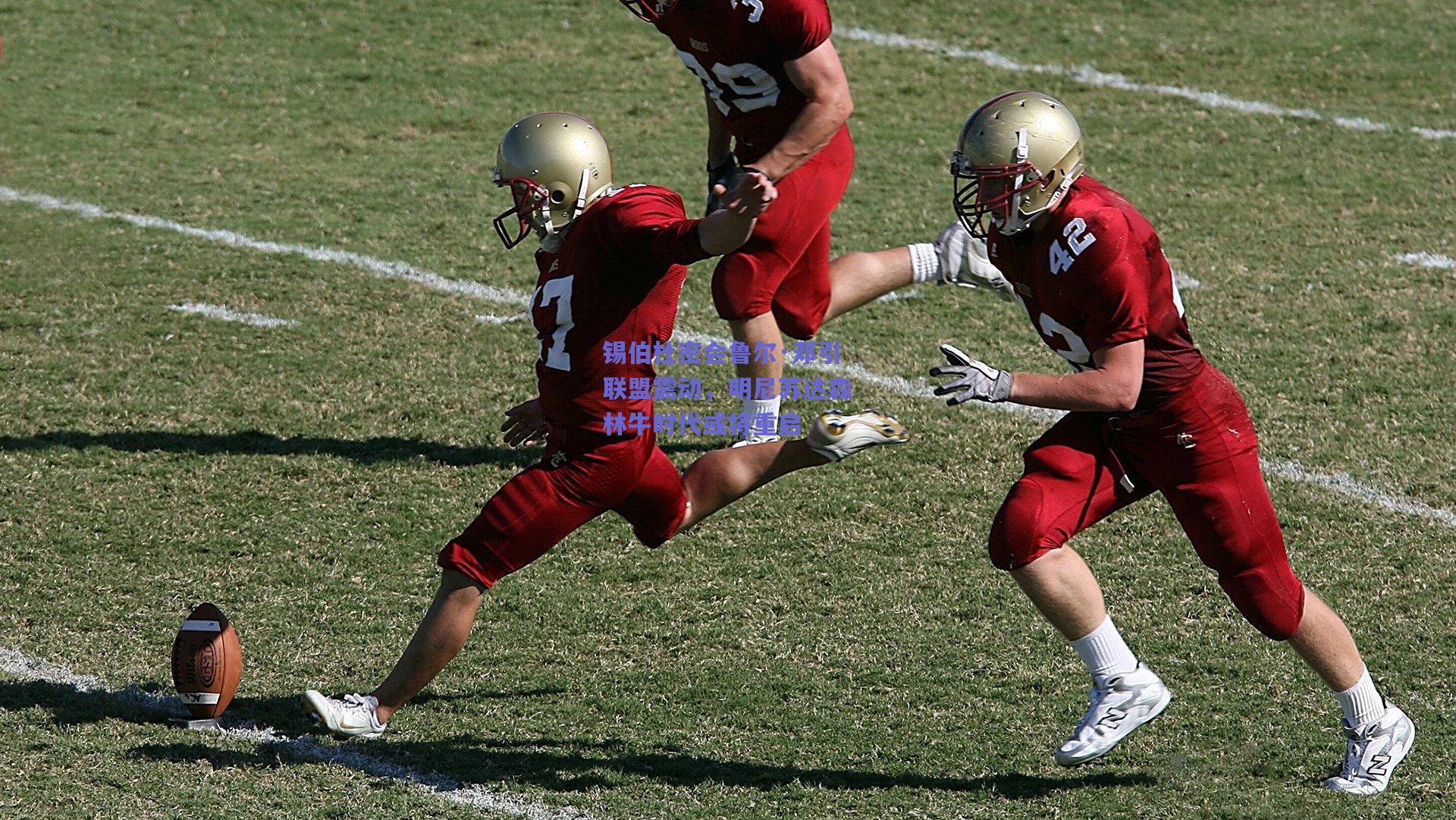 锡伯杜密会鲁尔·邓引联盟震动，明尼苏达森林牛时代或将重启